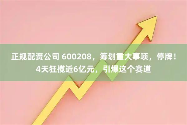 正规配资公司 600208，筹划重大事项，停牌！4天狂揽近6亿元，引爆这个赛道