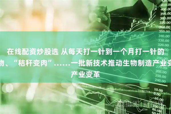 在线配资炒股选 从每天打一针到一个月打一针的药物、“秸秆变肉”……一批新技术推动生物制造产业变革