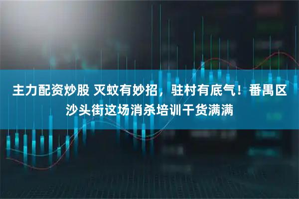 主力配资炒股 灭蚊有妙招，驻村有底气！番禺区沙头街这场消杀培训干货满满